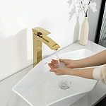 Превью - G1007-32(21).jpg