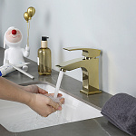 Превью - G1007-13(28).jpg