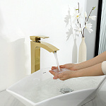 Превью - G1007-32(23).jpg