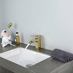 Превью - G5007-3(19).jpg