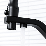 Превью - smesitel-dlya-kukhni-gappo-g4317-6011.jpg